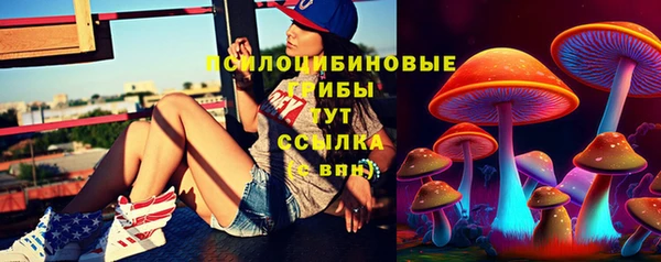 герыч Алзамай