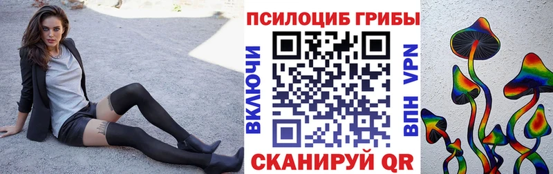 Псилоцибиновые грибы Psilocybe  Полевской 